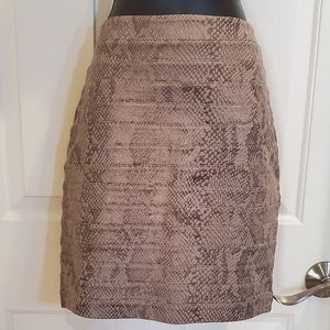 Express Snake Print Skirt